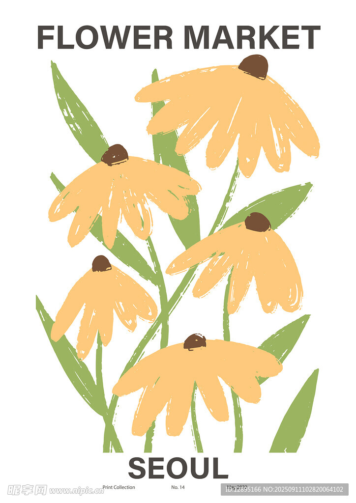 首尔花卉市场的黑心菊