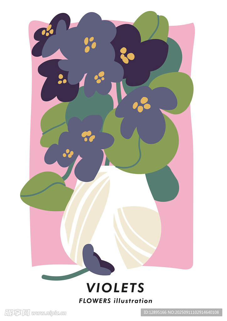 紫色紫罗兰插画