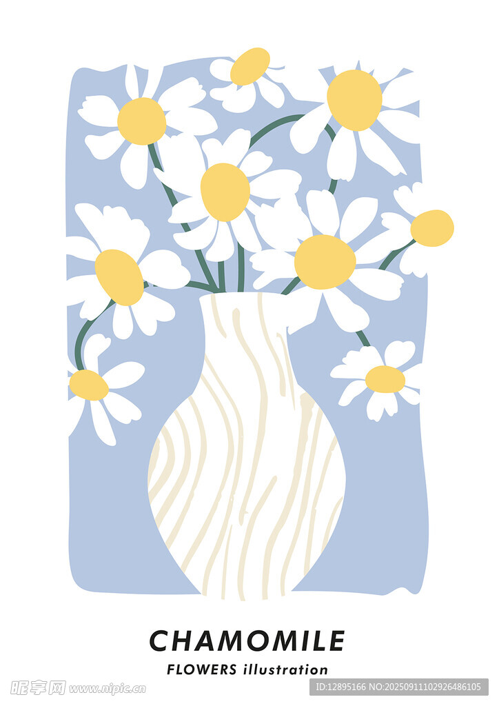 花瓶中的洋甘菊插画