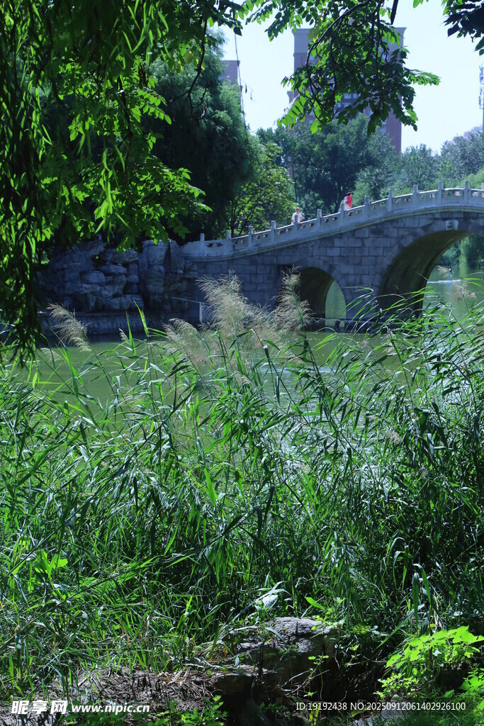 公园风景  