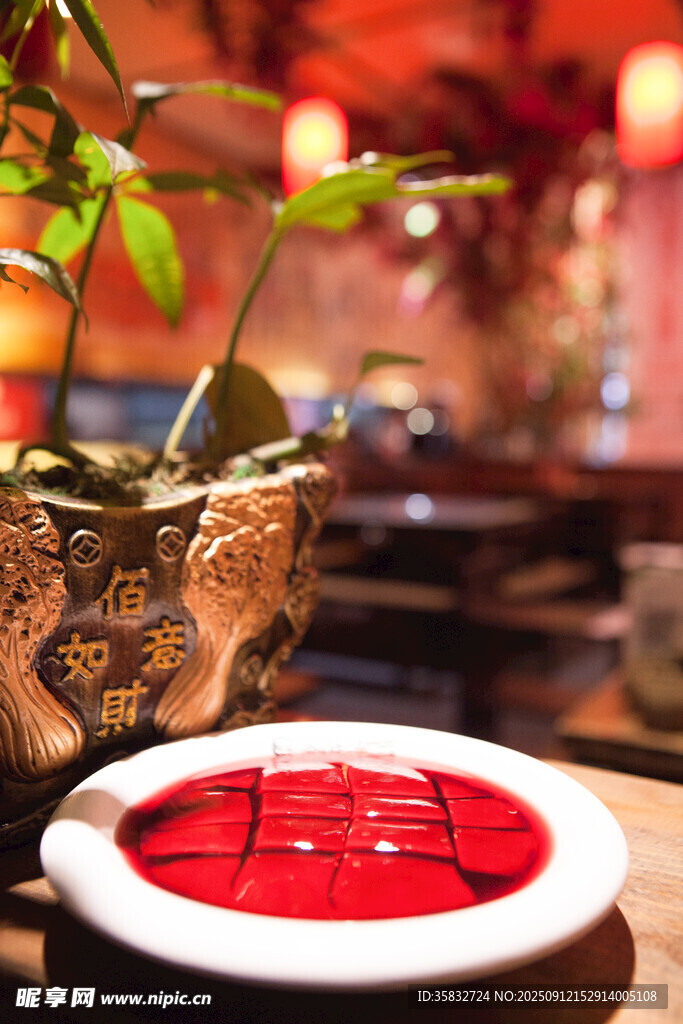 中式火锅与绿植雅致场景