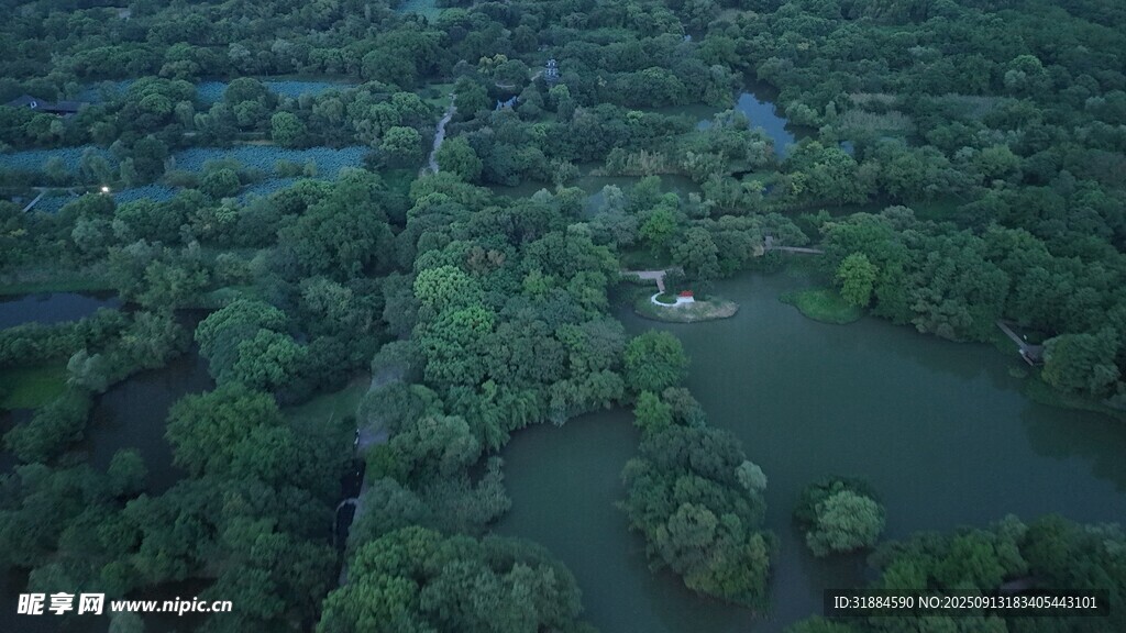 俯瞰葱郁森林中的水域