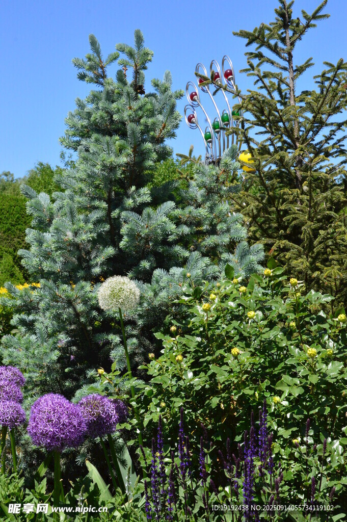 花园风景  