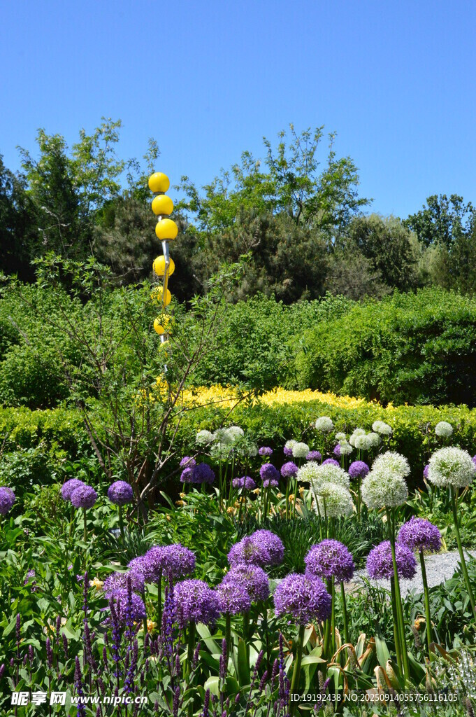 花园风景 