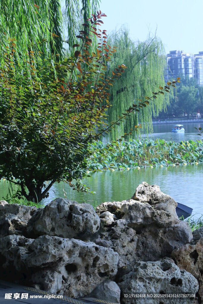 公园风景 