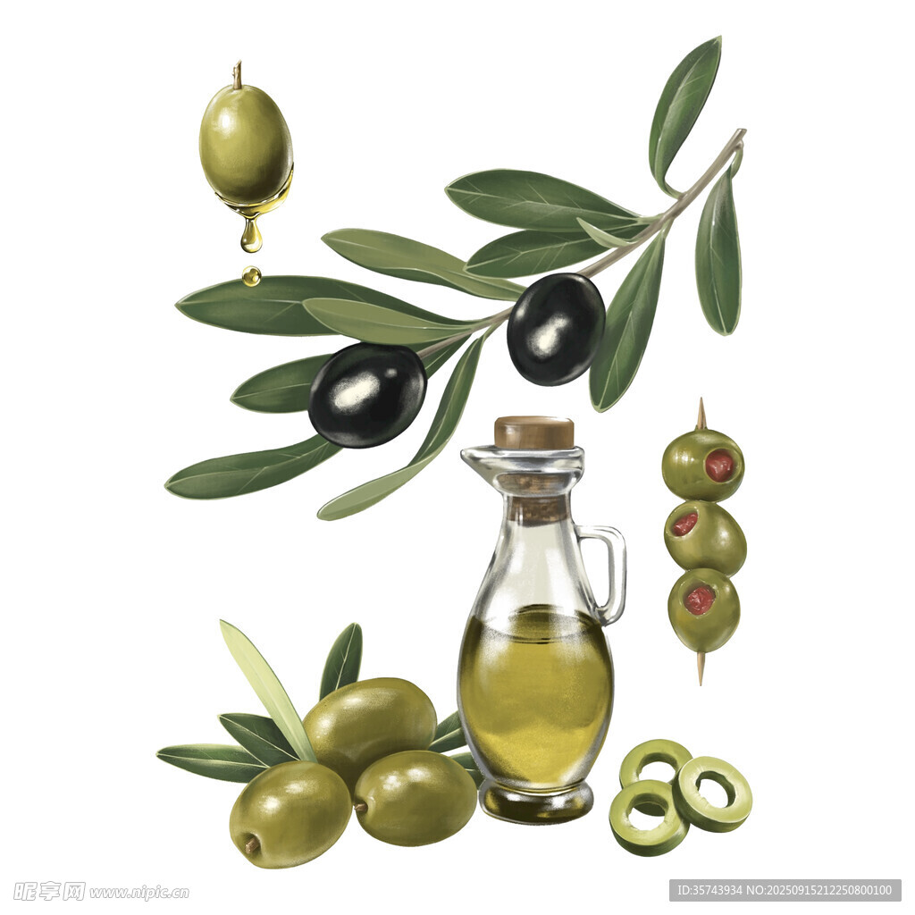 橄榄与橄榄油
