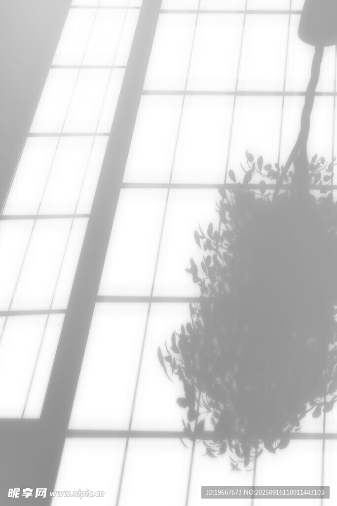 室内绿植与玻璃幕墙景观