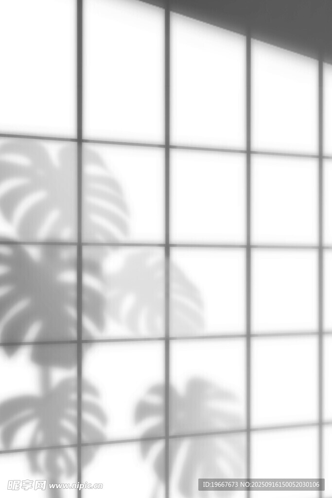 透过窗格看朦胧植物