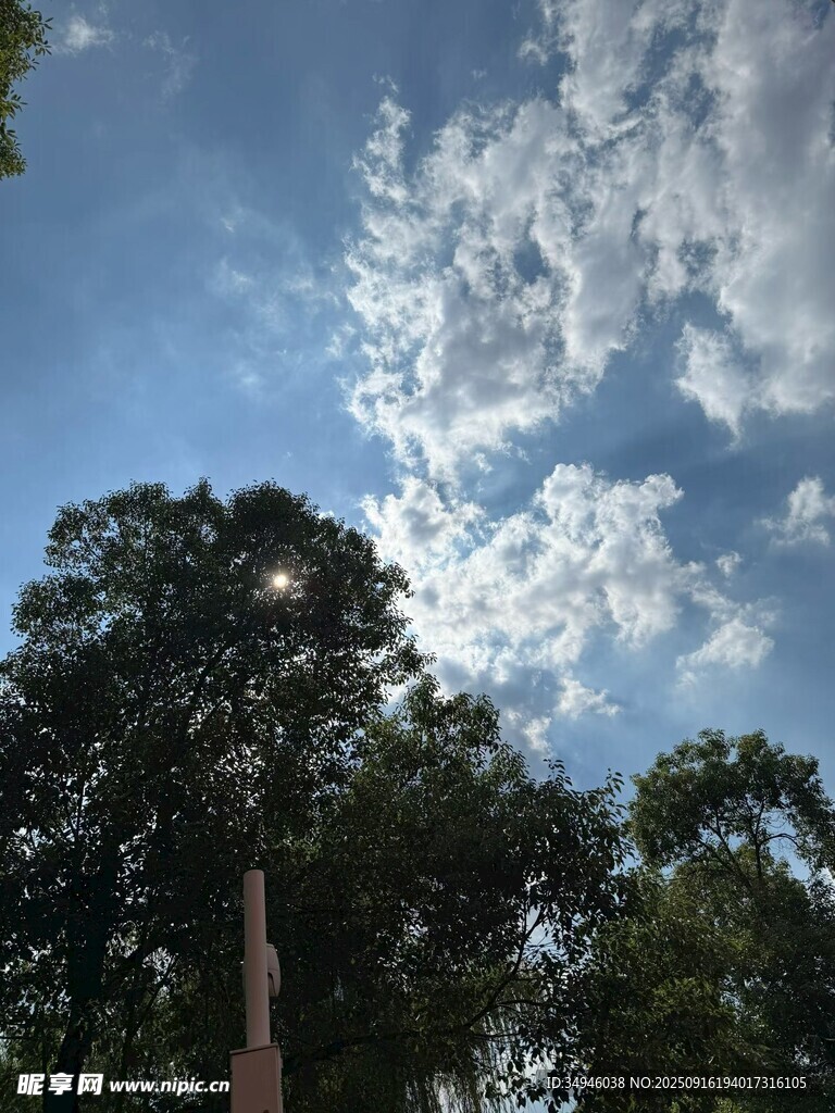 林间蓝天与白云