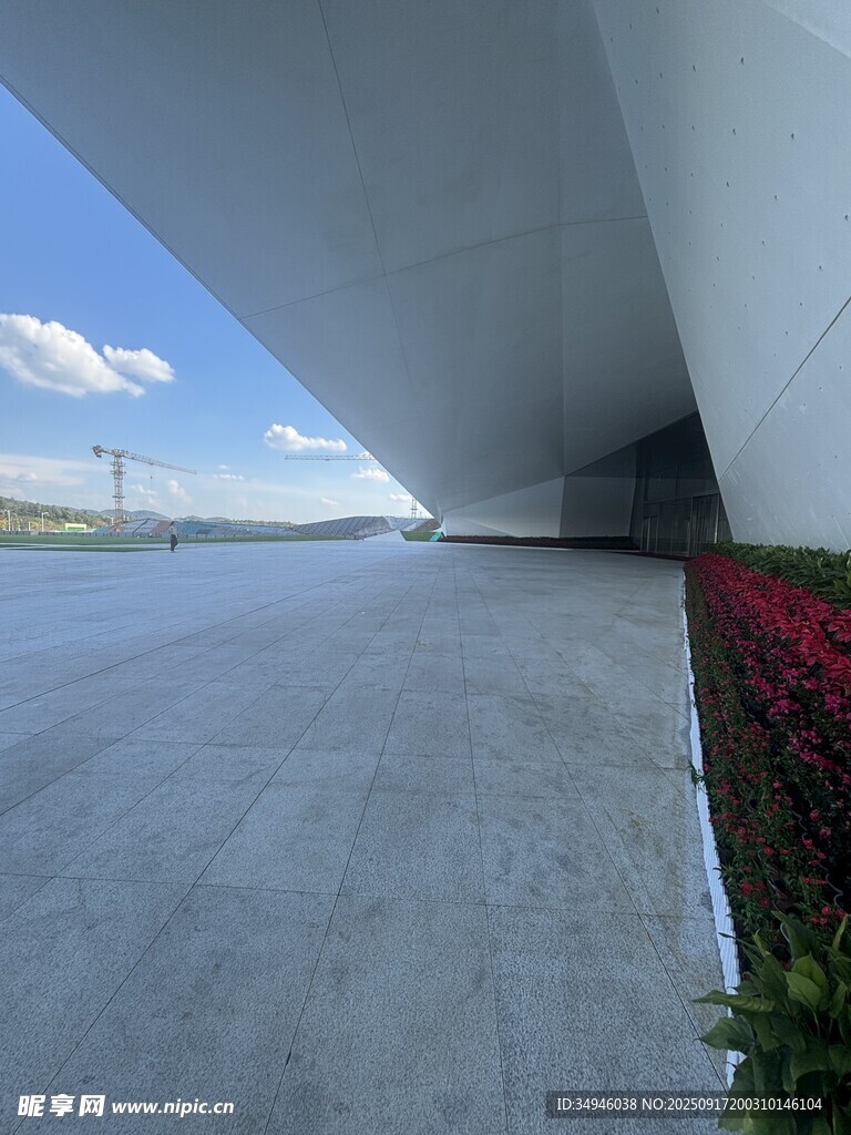 现代建筑下的开阔道路与花卉