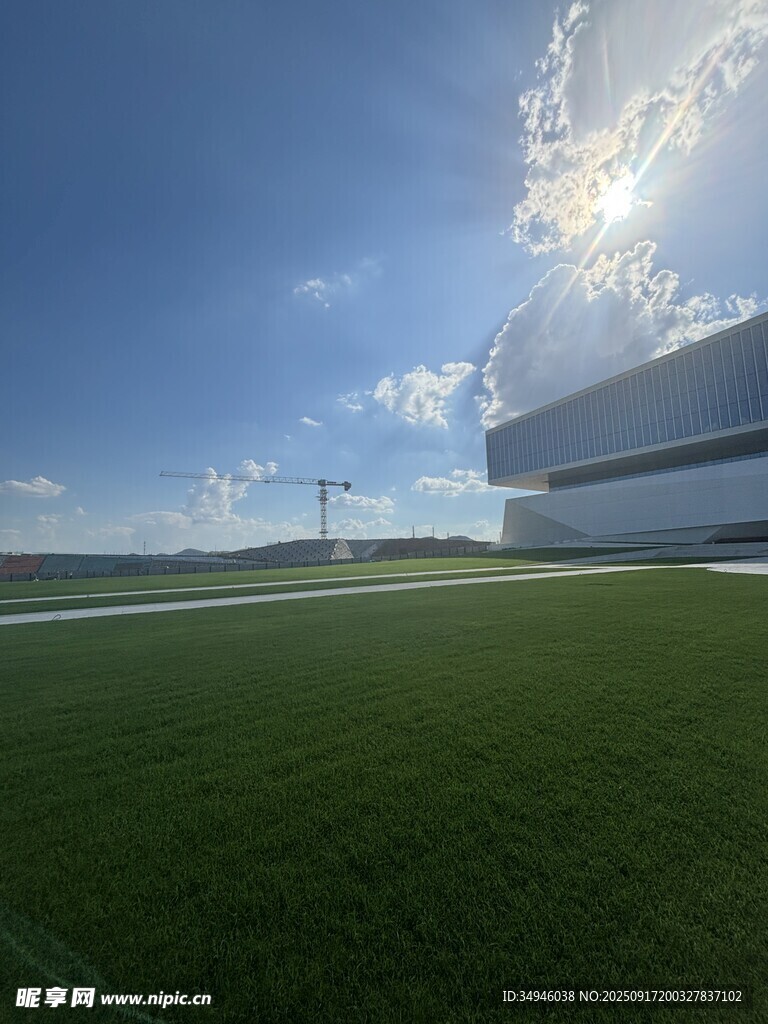 绿茵场边的现代建筑景观