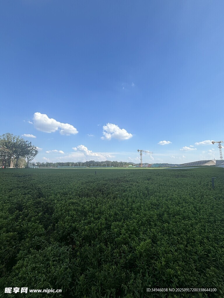 广阔绿野蓝天美景