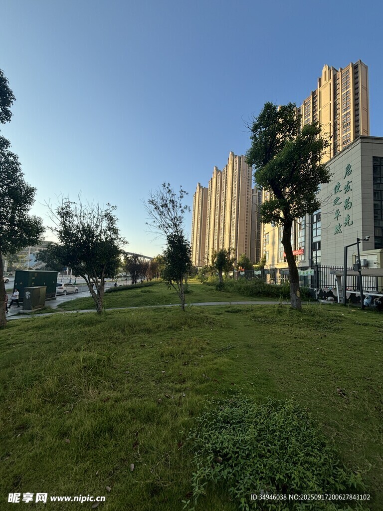 城市绿地旁的林立高楼