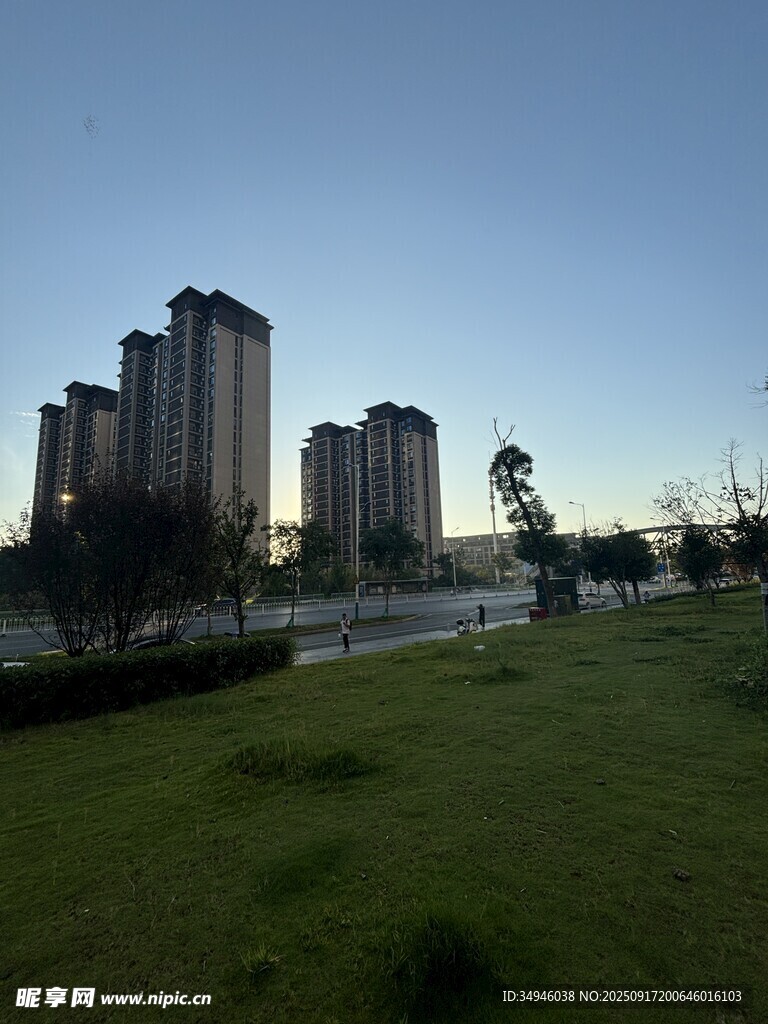 城市草地旁的高楼景观