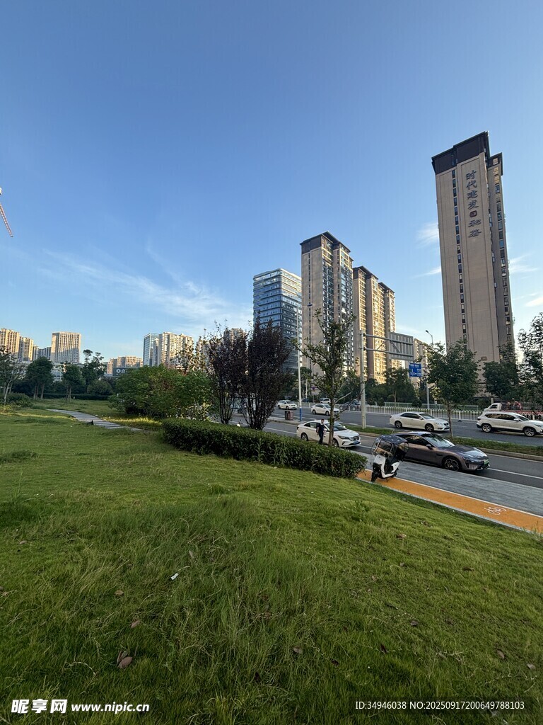 城市草坪旁的高楼景观