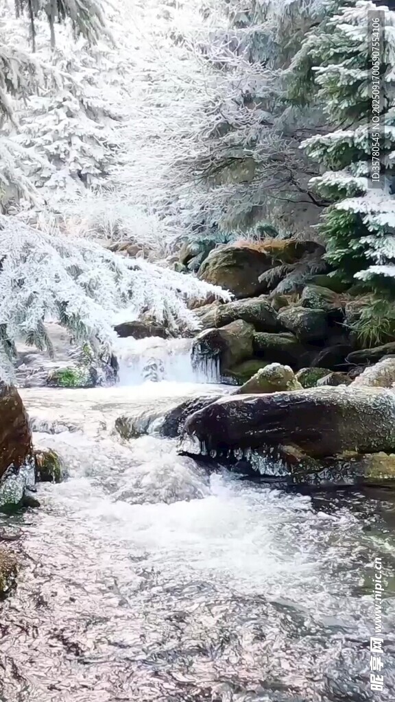 冬日雪覆溪流山林美景