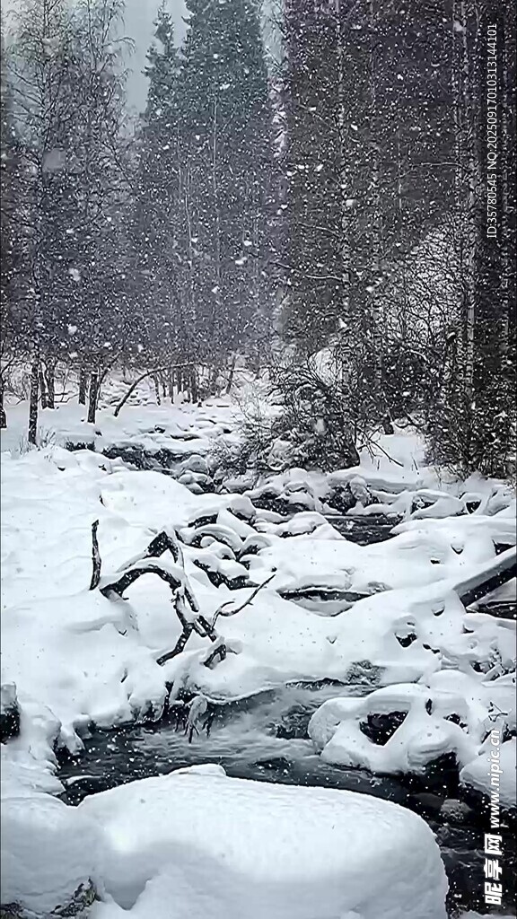 冬日雪景中的静谧溪流