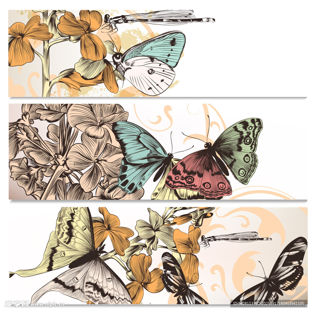 蝴蝶花卉图案设计素材