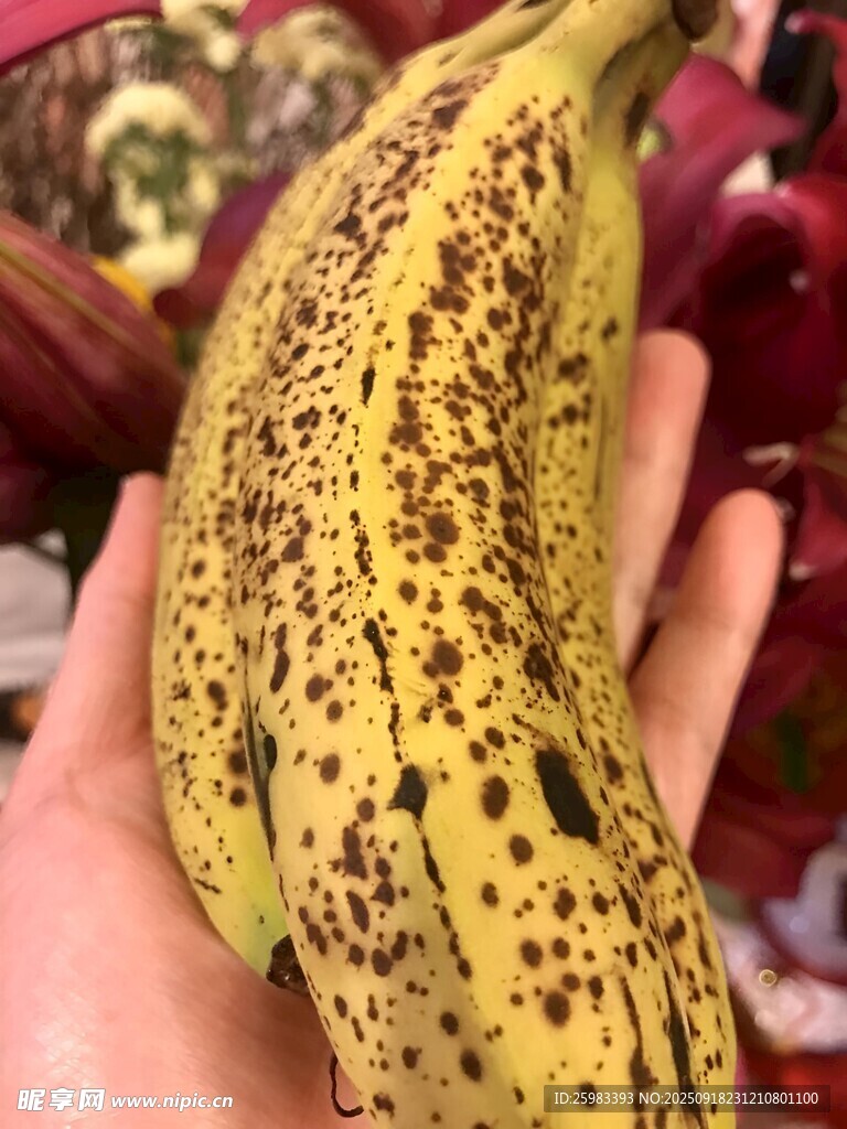 香蕉