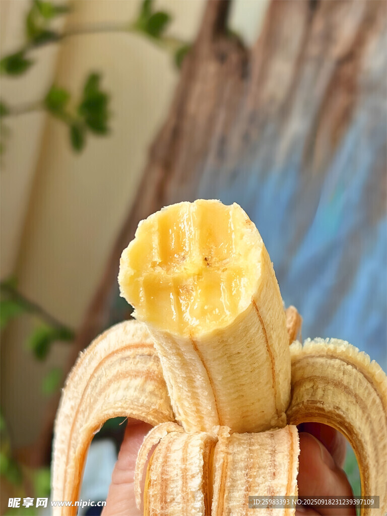 香蕉