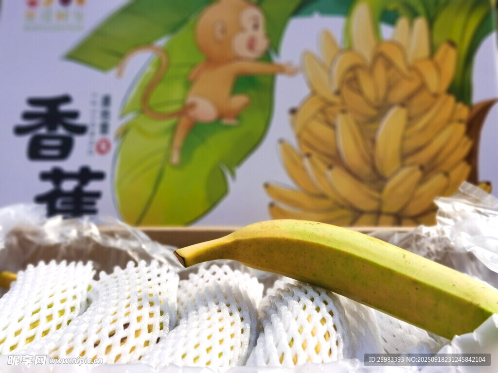 香蕉