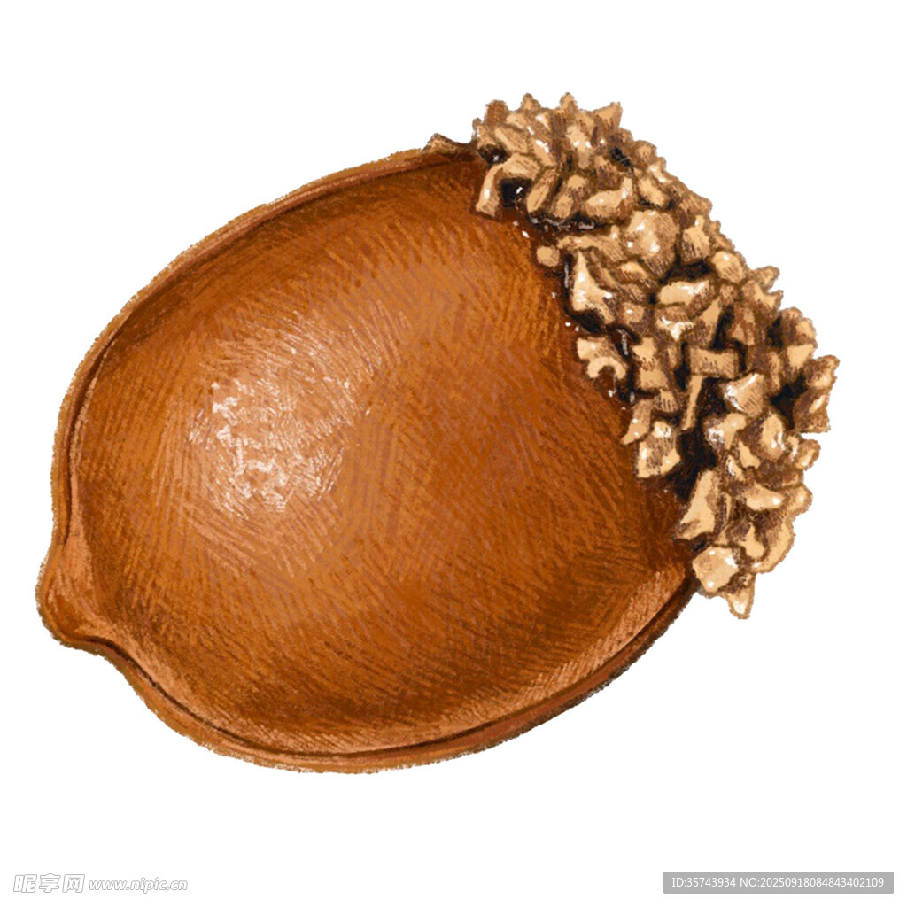 金色装饰的棕色精美托盘