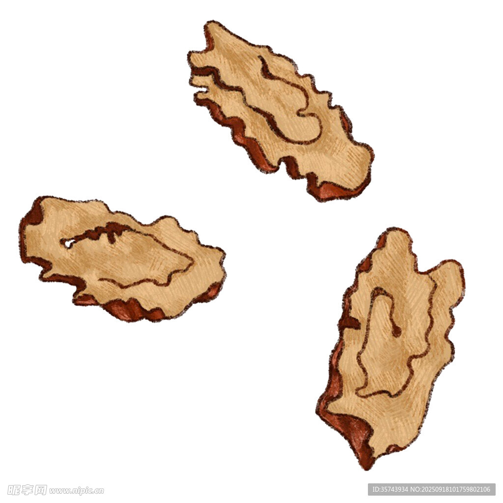 三片美味的干制菌类