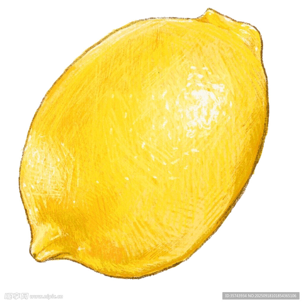 手绘黄色柠檬果实
