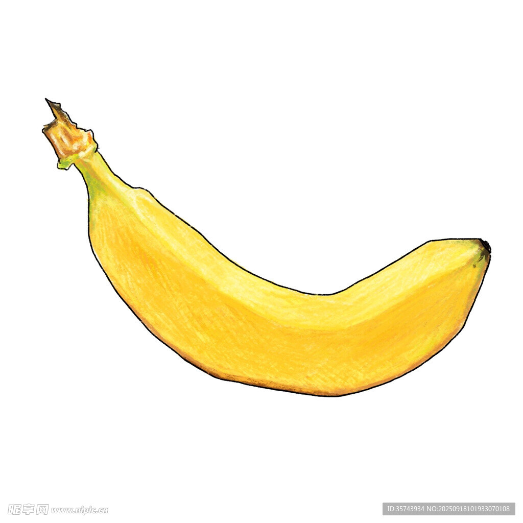 手绘黄色香蕉插画