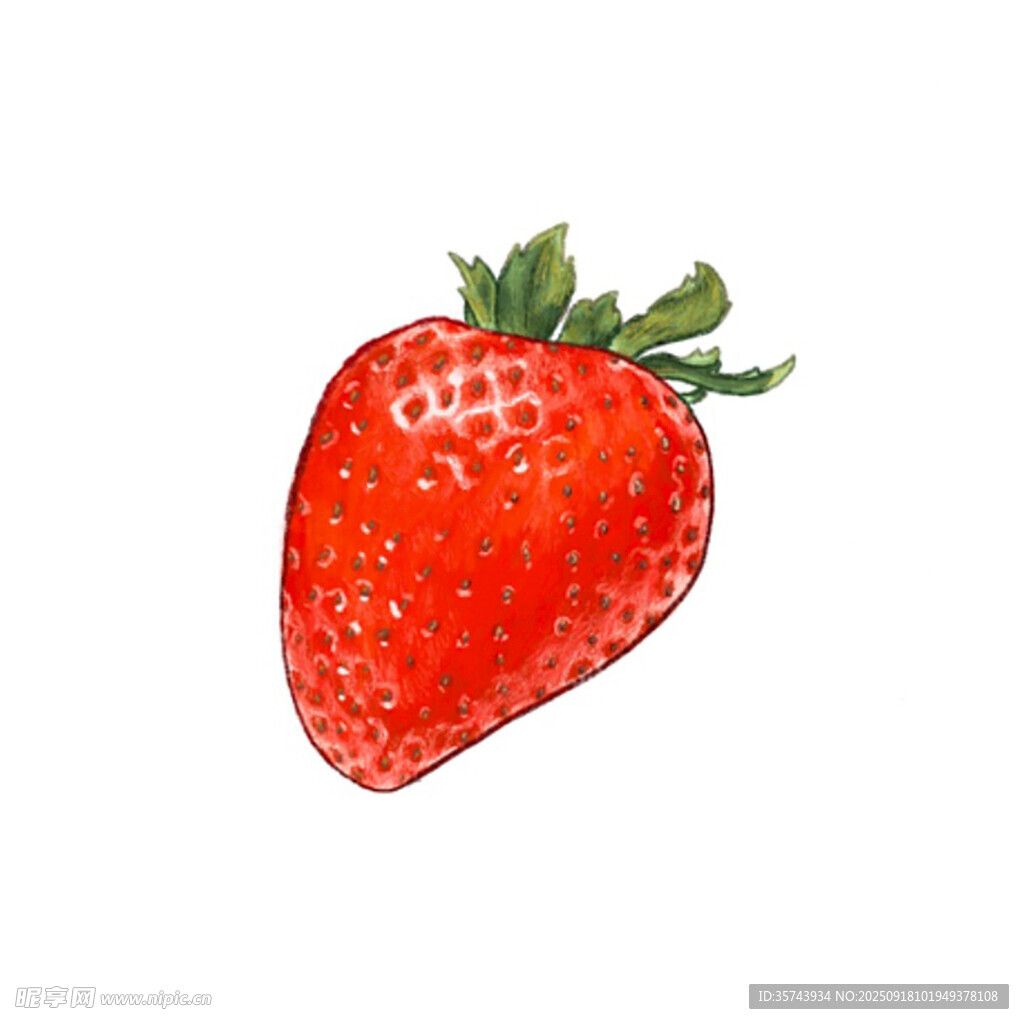 手绘鲜红草莓