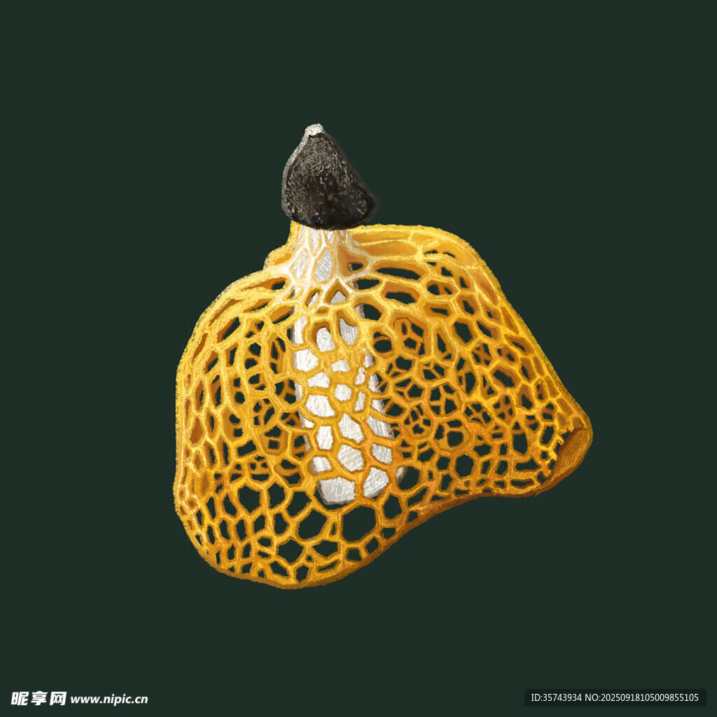 奇特网状菌类植物特写