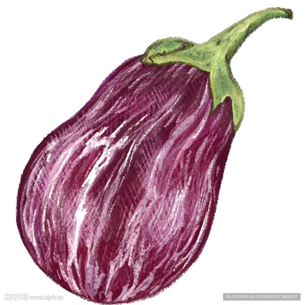 手绘紫色茄子插画