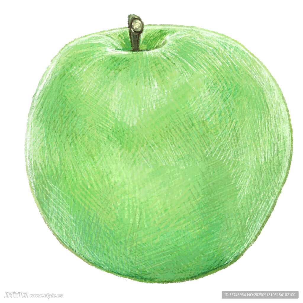 青苹果手绘插画