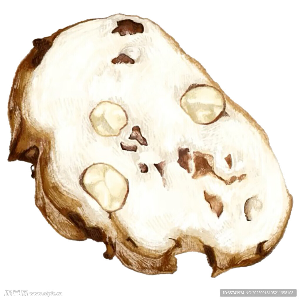 切开的菌类特写