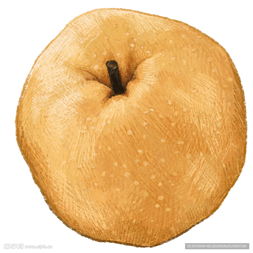 金黄圆润的新鲜苹果