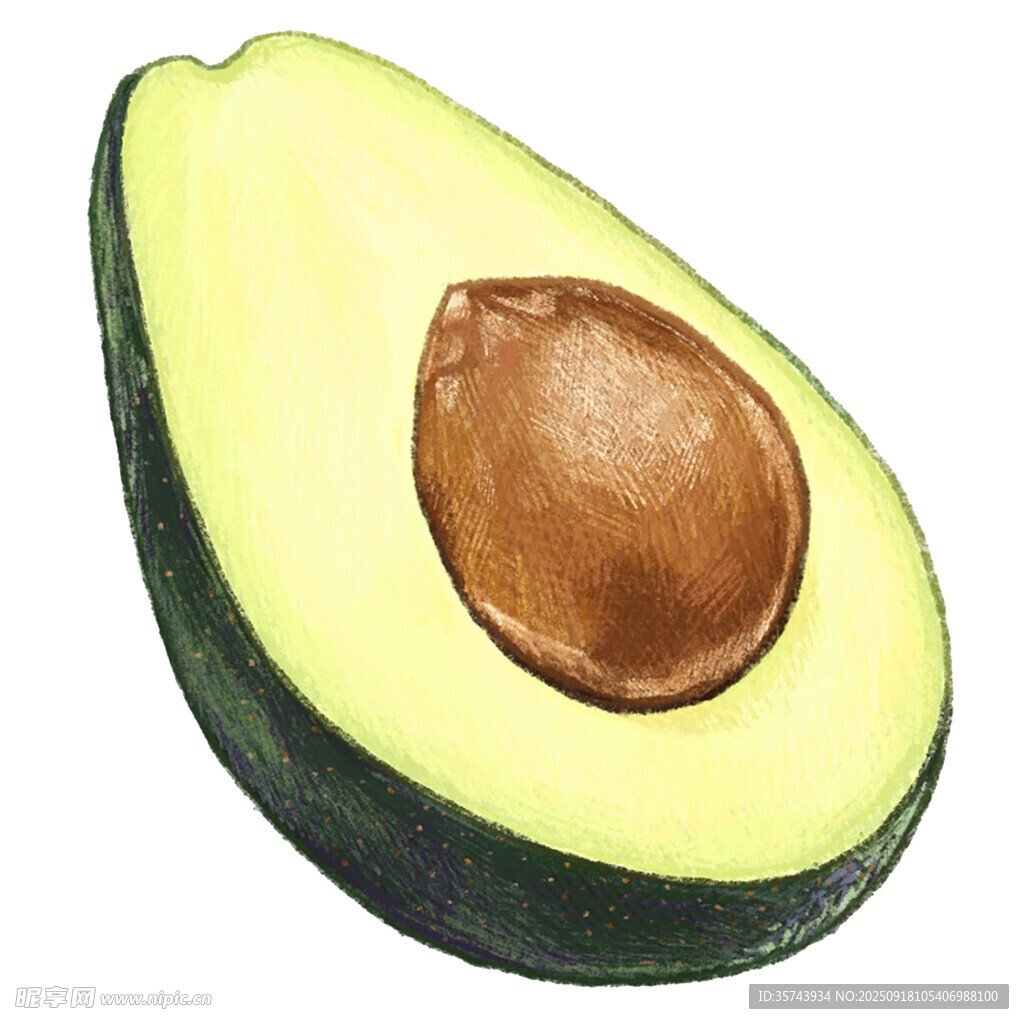 半颗牛油果水彩插画