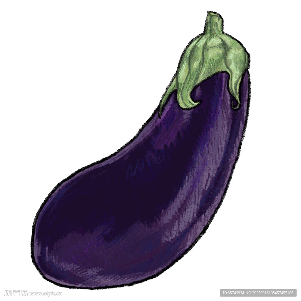 紫色长茄子插画
