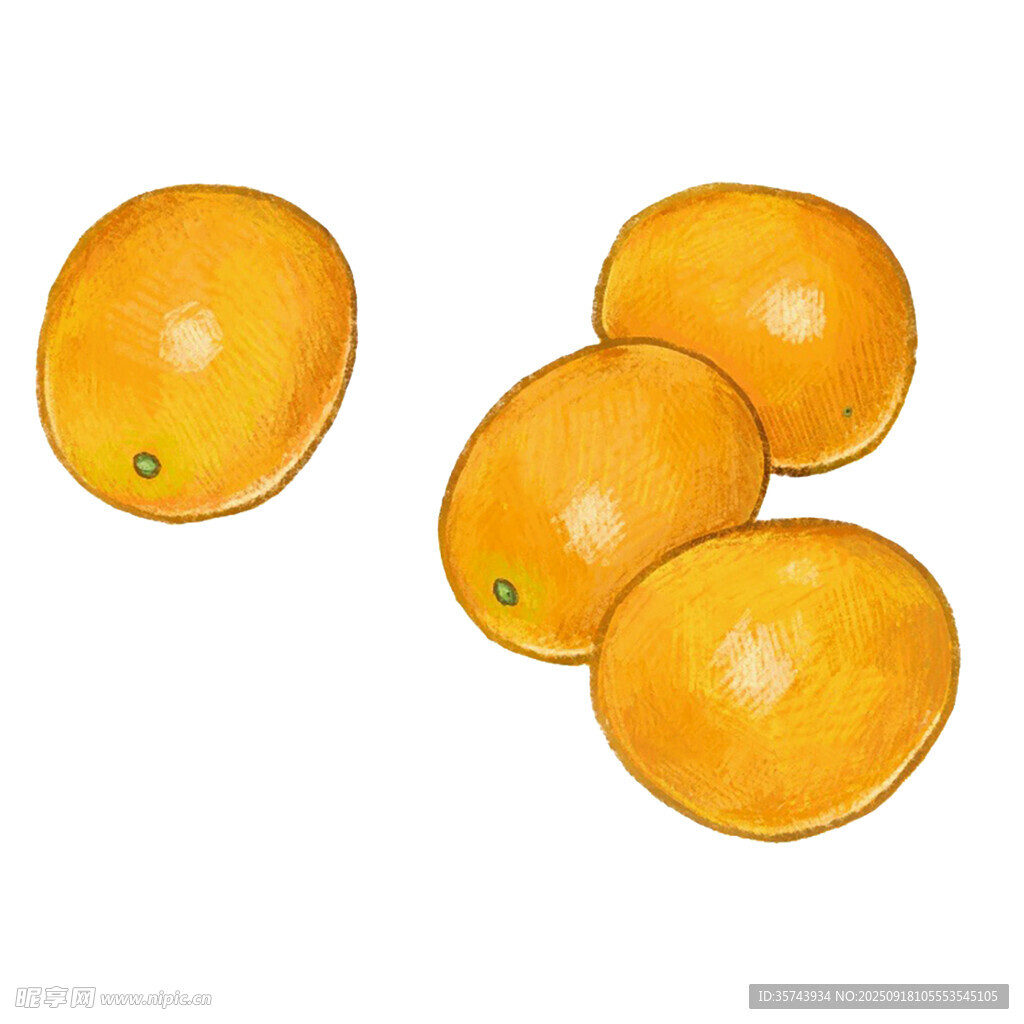 手绘四个圆润饱满的橙子