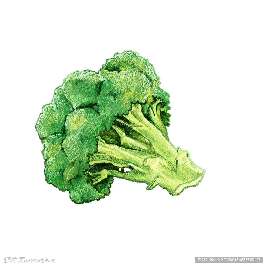 一颗新鲜的西兰花