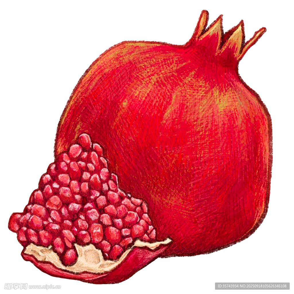 手绘红石榴