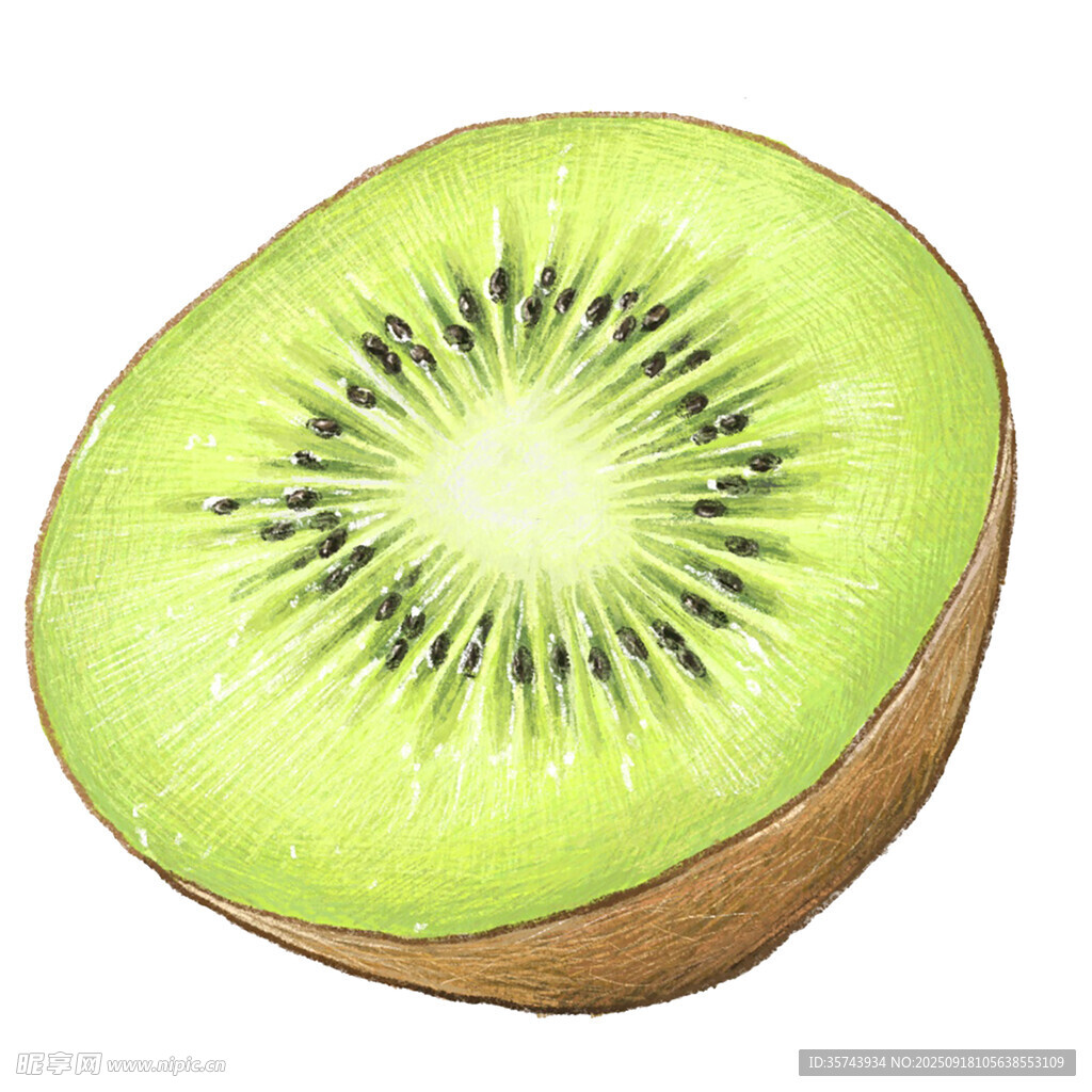 切开的新鲜猕猴桃
