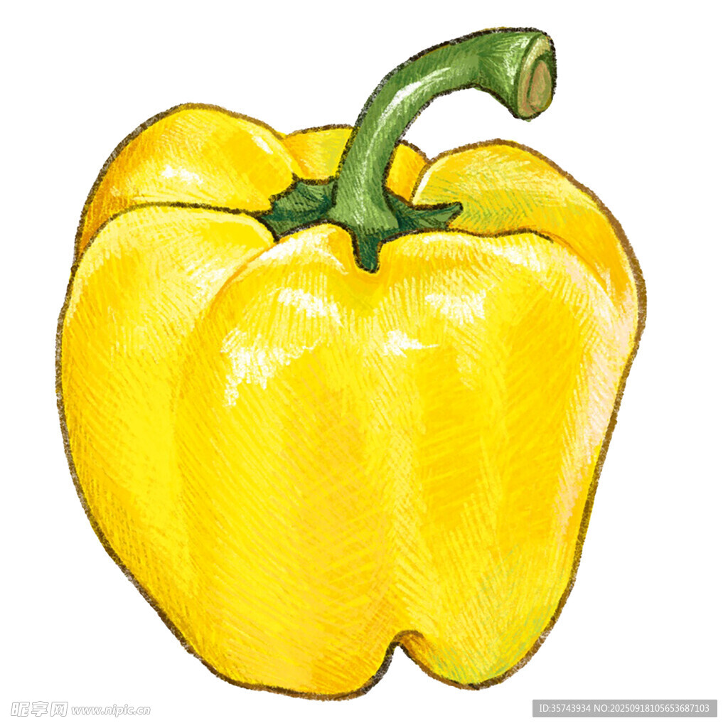 黄色甜椒水彩画