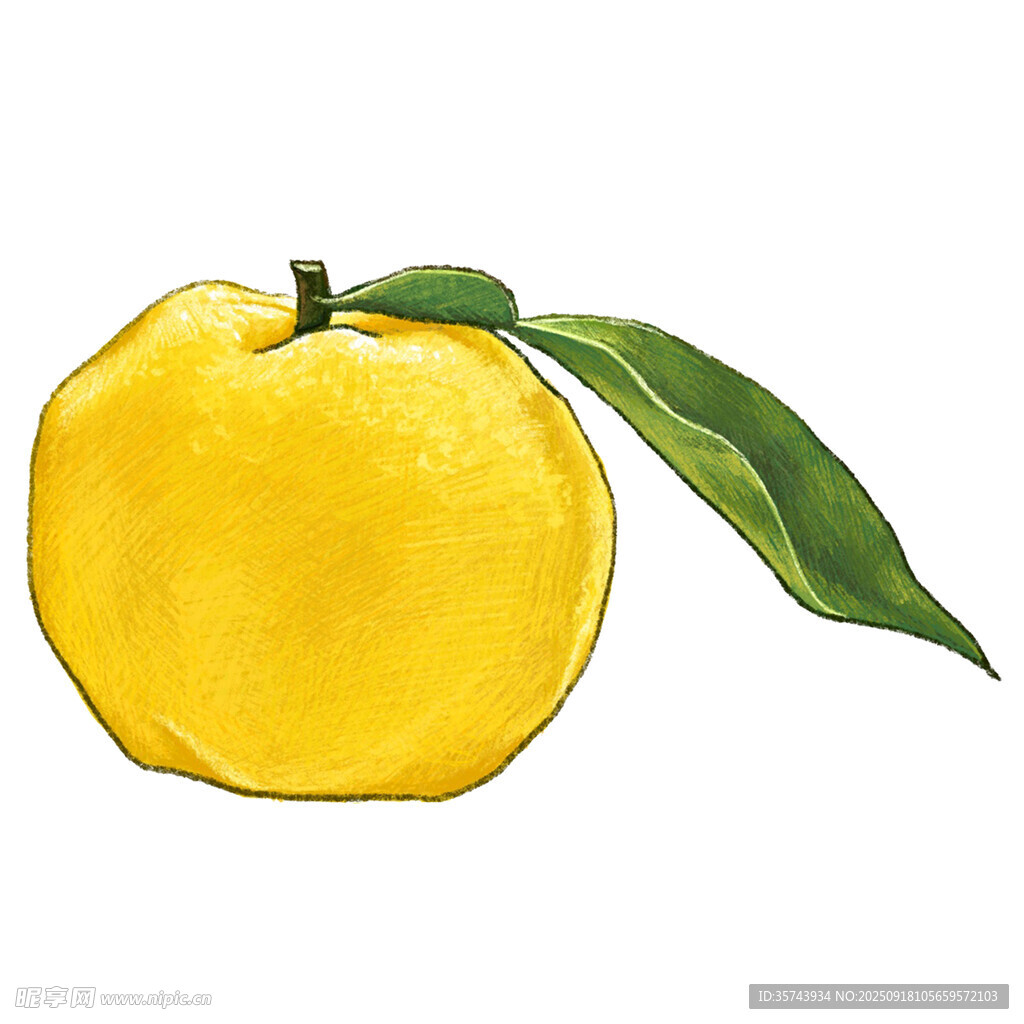 手绘金黄鲜桃带绿叶