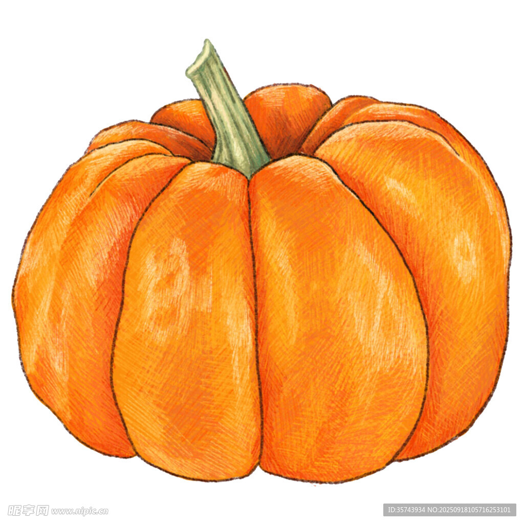手绘橙色南瓜