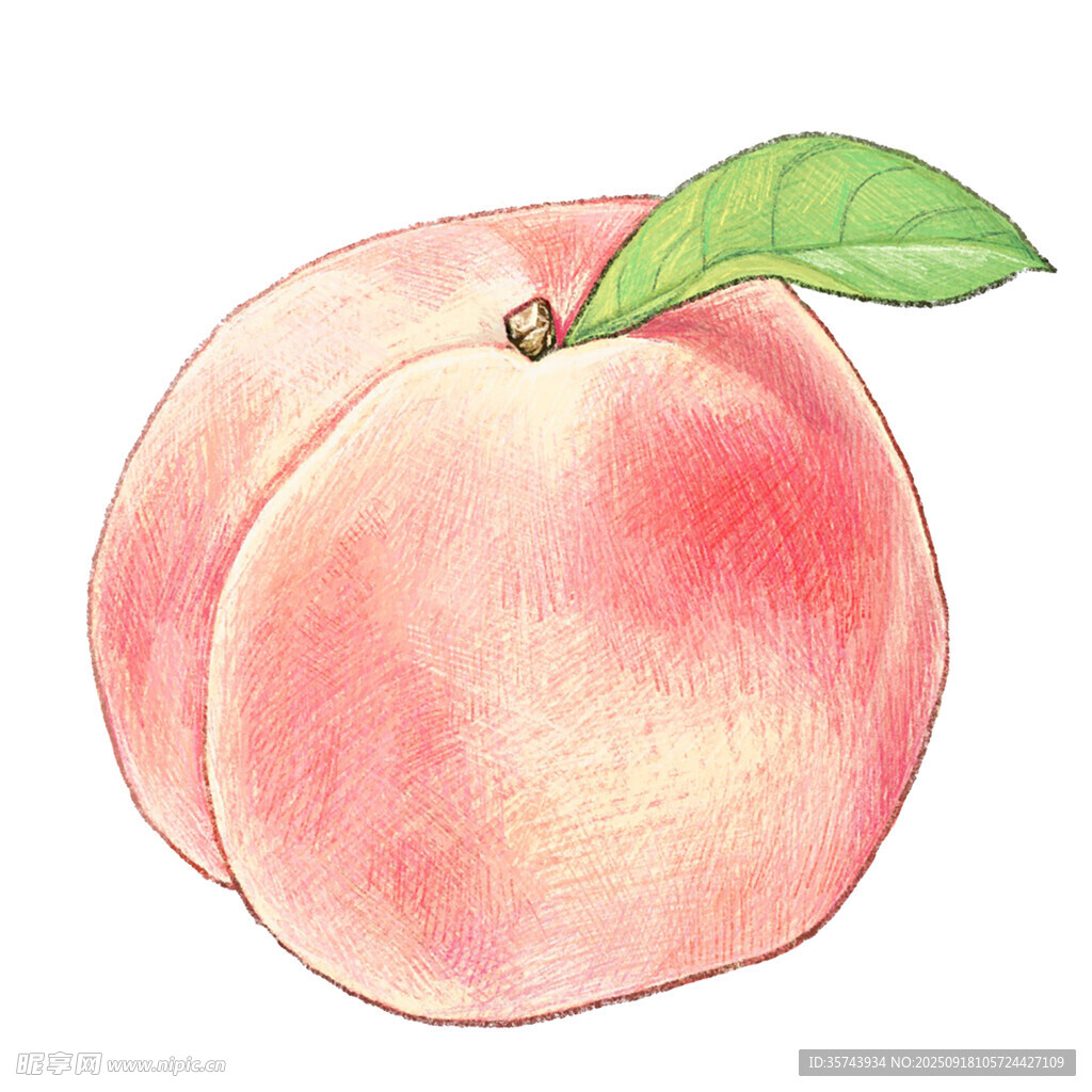 手绘粉嫩水蜜桃