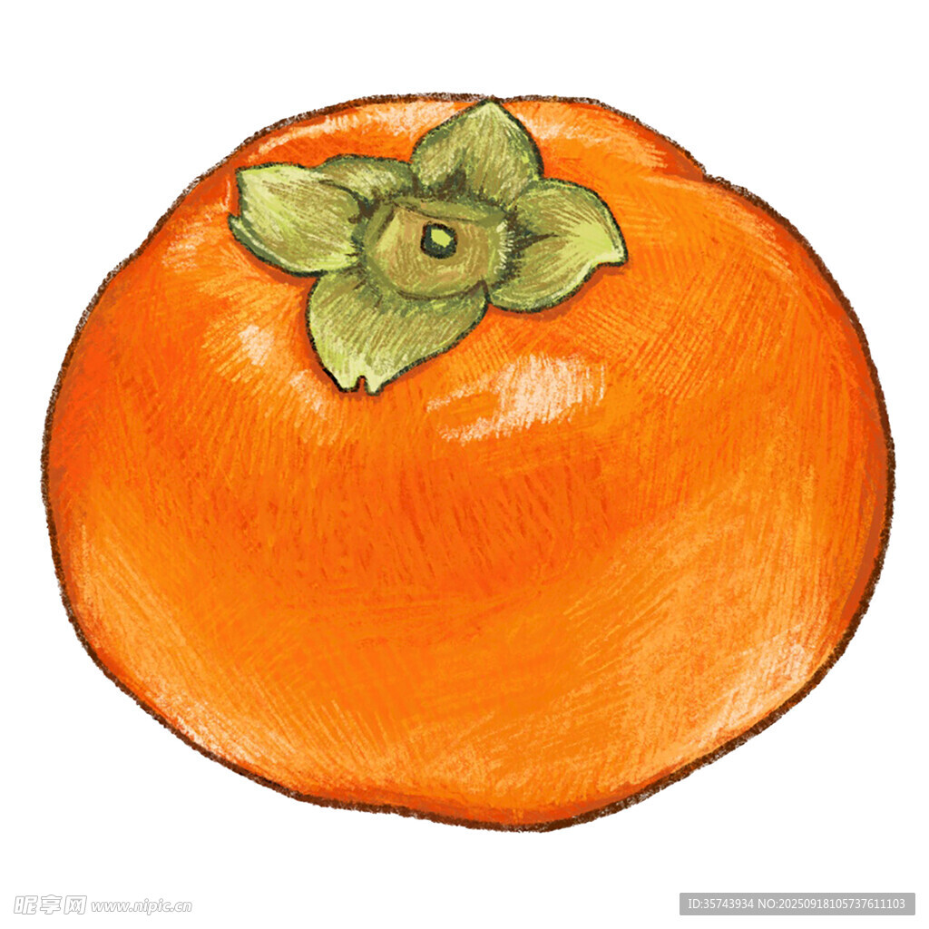 手绘橙色柿子