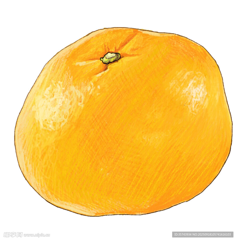 手绘黄色圆润大橘子