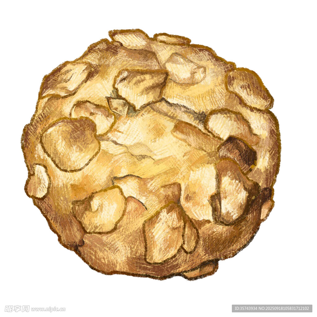 杏仁曲奇饼干水彩插画