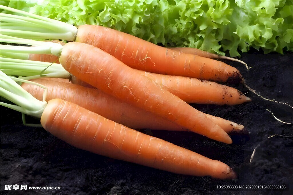 胡萝卜