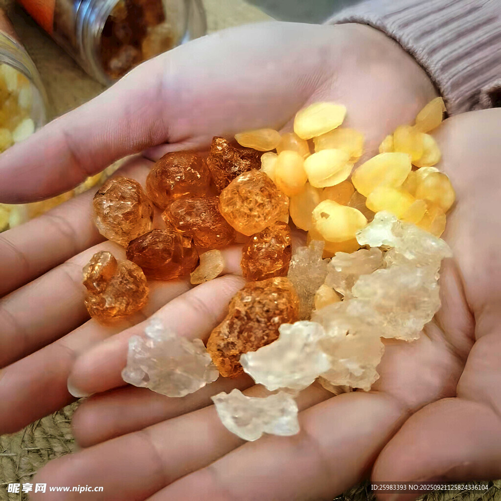 桃胶雪燕皂角米